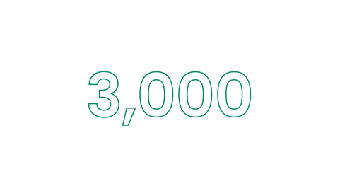 3,000